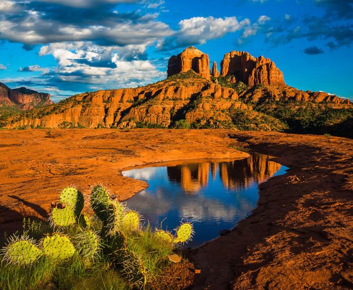 Landscape